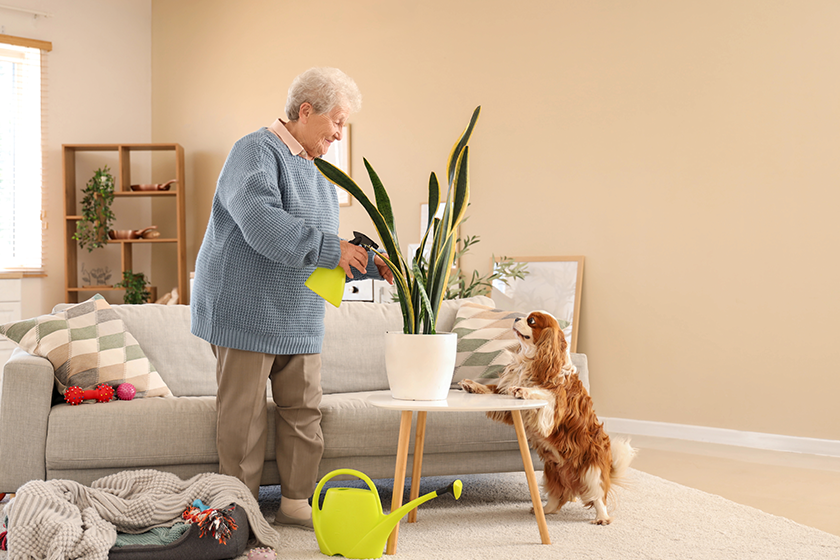11 Engaging Dementia Activities For Seniors