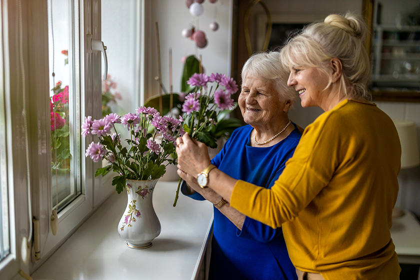 What Emergency Guardianship Of An Elderly Parent Is And How To Claim It